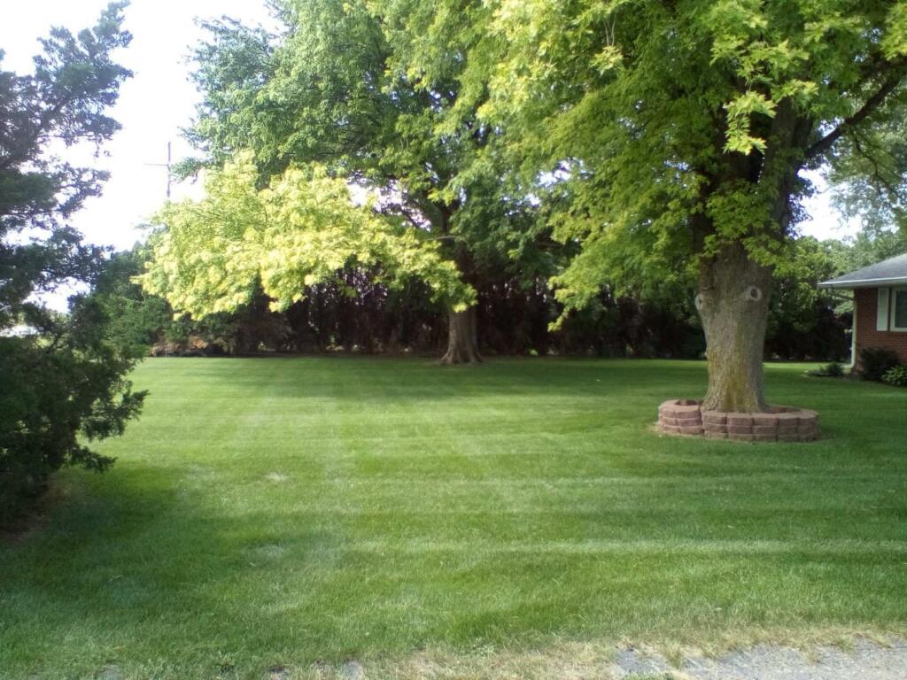 image000003